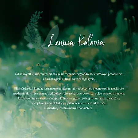 Leniwa Kolonia * Sarnaki