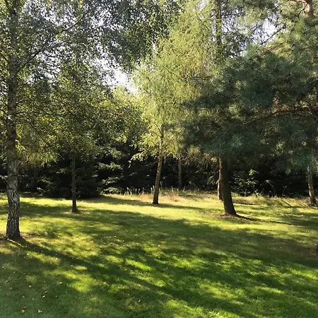 Leniwa Kolonia * Sarnaki