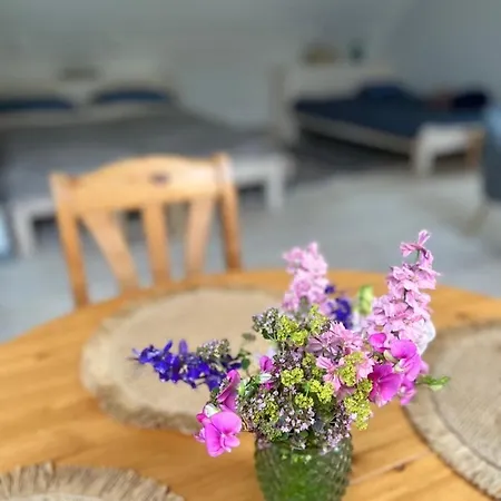 Leniwa Kolonia Sarnaki